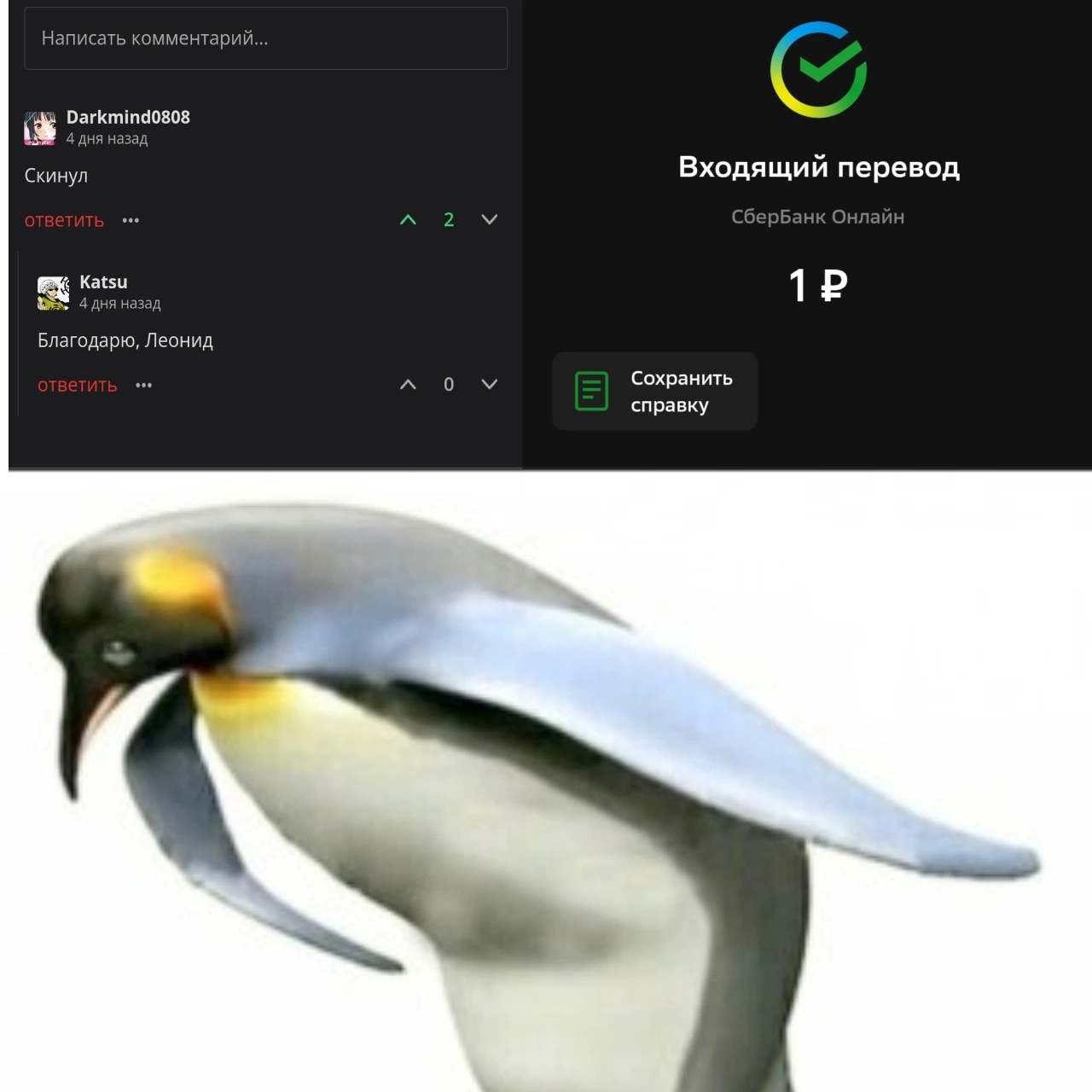 Конохарем 11